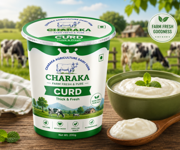 curd curd