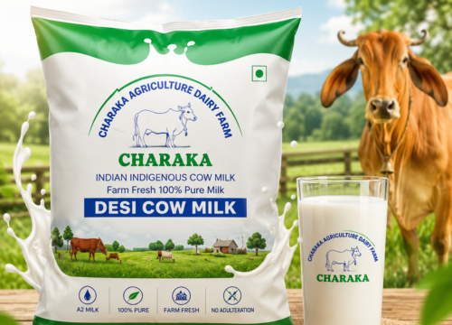 desi-cow-milk